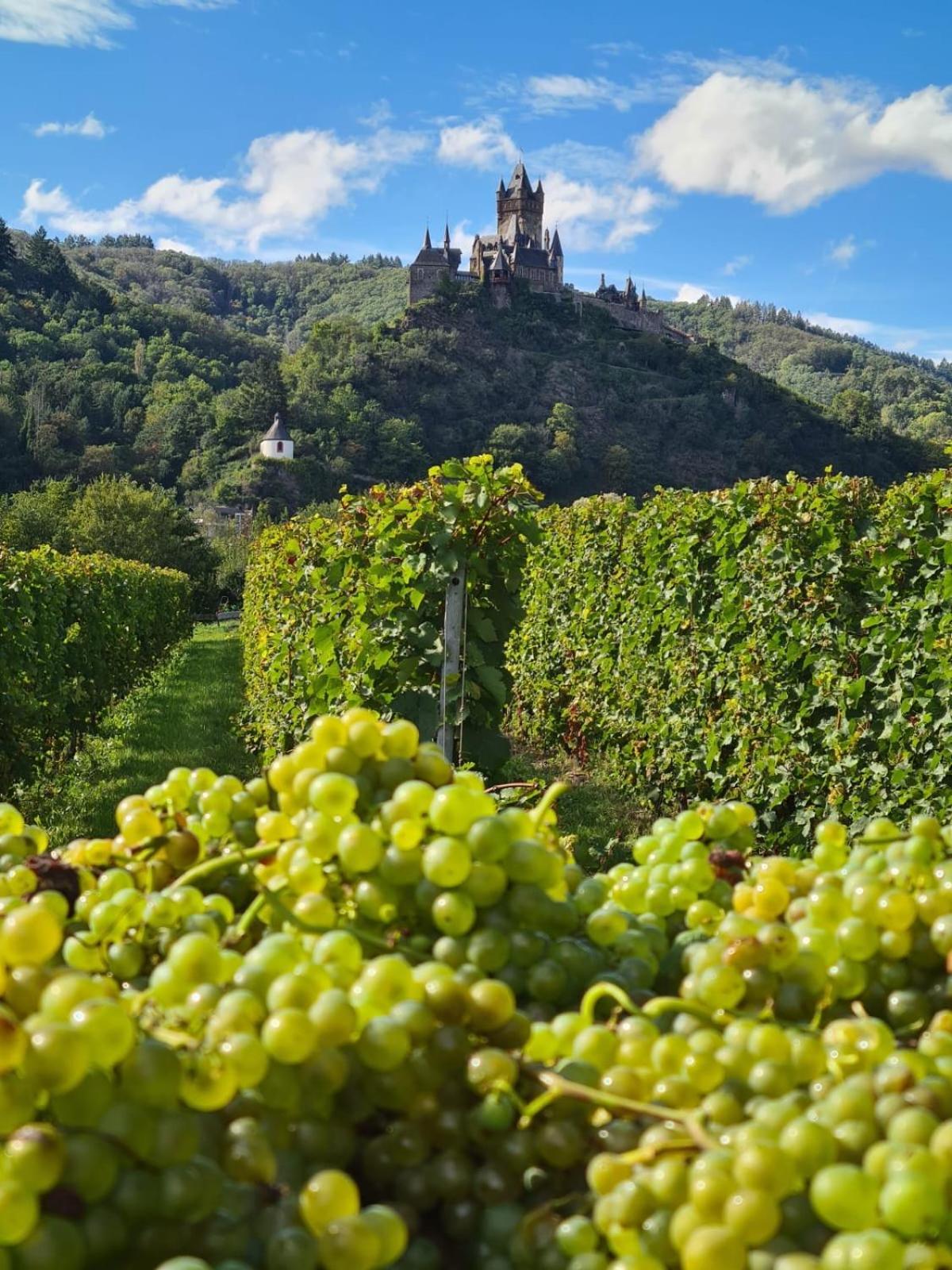 Weingut Gaestehaus Bach コッヘム エクステリア 写真